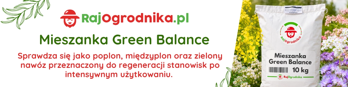 Mieszanka Green Balance Poplonowa Gorczyca Facelia Rzodkiew Gryka nasiona 10 KG RajOgrodnika